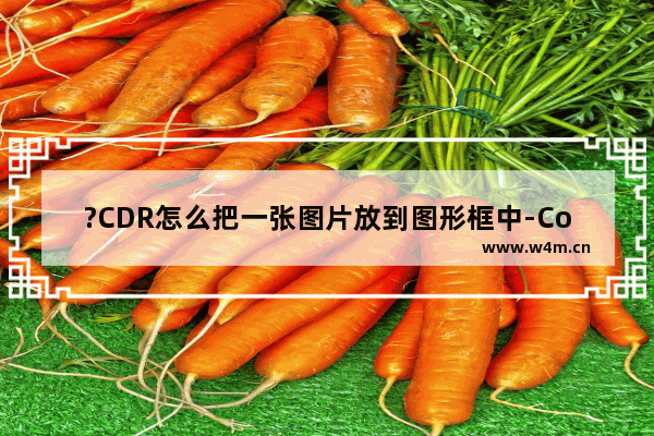 ?CDR怎么把一张图片放到图形框中-CorelDRAW把一张图片置入框内的方法教程