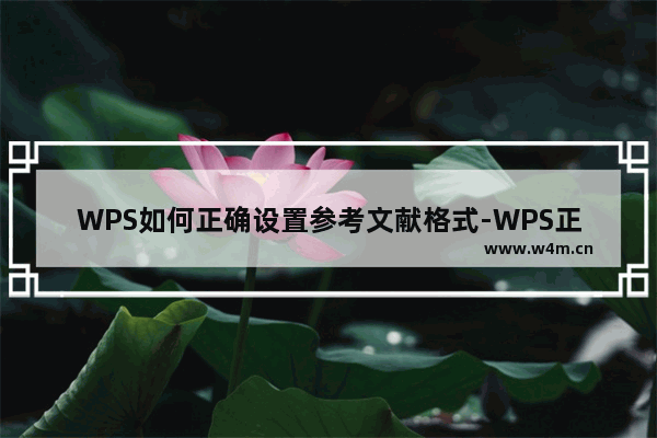 WPS如何正确设置参考文献格式-WPS正确引用参考文献的详细方法