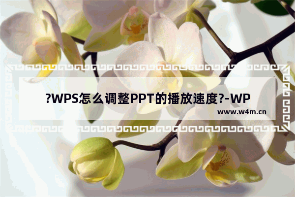 ?WPS怎么调整PPT的播放速度?-WPS演示电脑版调整播放速度的方法教程