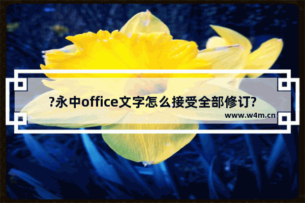 ?永中office文字怎么接受全部修订?-永中office电脑版接受全部修订的方法教程