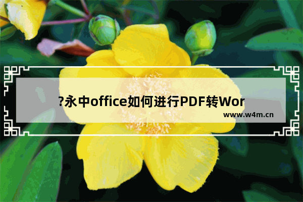 ?永中office如何进行PDF转Word?-永中office将PDF转换为Word的方法教程