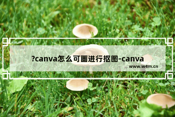 ?canva怎么可画进行抠图-canva电脑版抠图的方法教程