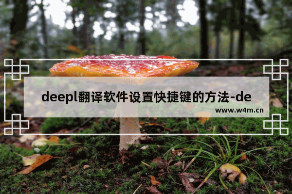 deepl翻译软件设置快捷键的方法-deepl翻译软件怎么设置快捷键