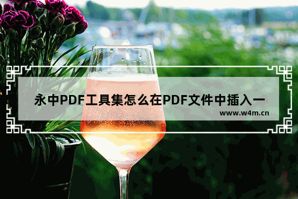 永中PDF工具集怎么在PDF文件中插入一张图片-永中PDF工具集在PDF文件中插入一张图片的方法