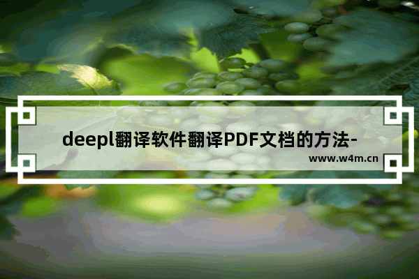 deepl翻译软件翻译PDF文档的方法-deepl翻译软件怎么翻译PDF文档