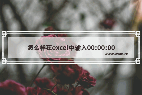 怎么样在excel中输入00:00:00-WPS Excel中设置00:00:00时间格式的方法