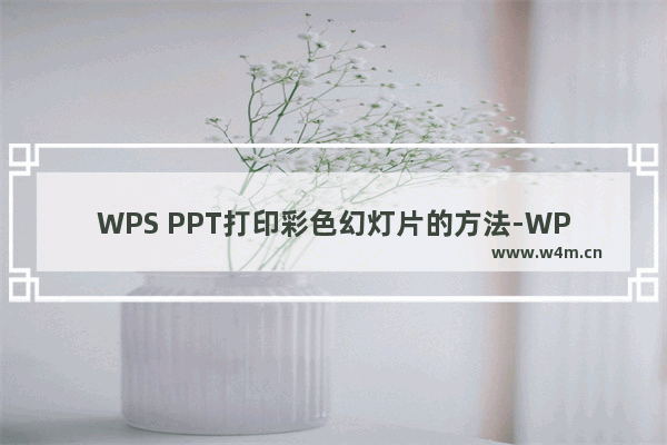 WPS PPT打印彩色幻灯片的方法-WPS PPT如何打印彩色幻灯片