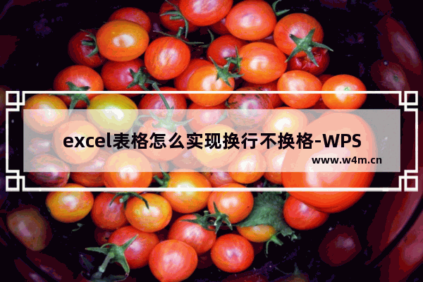 excel表格怎么实现换行不换格-WPS excel表格实现换行不换格的方法