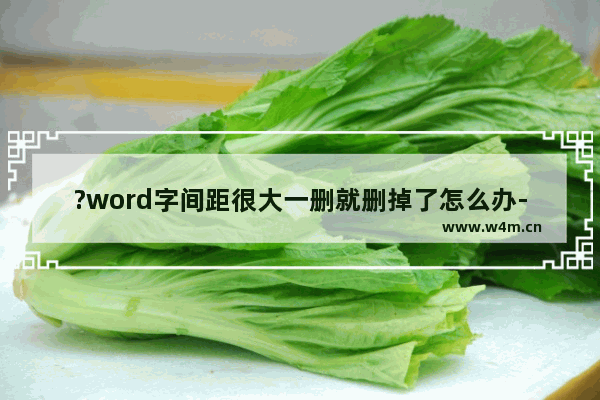 ?word字间距很大一删就删掉了怎么办-word文字中间的间距过大的清除方法