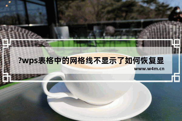 ?wps表格中的网格线不显示了如何恢复显示-?wps将表格隐藏起来的网格线显示的方法