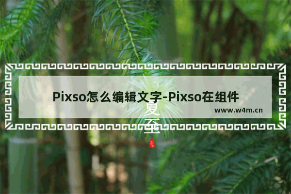 Pixso怎么编辑文字-Pixso在组件中添加文本内容的方法