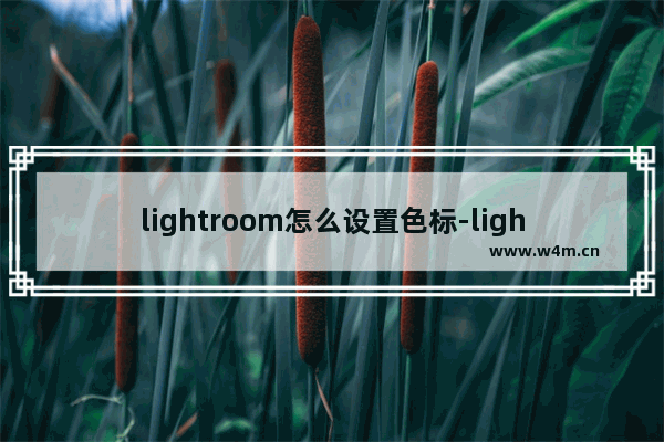 lightroom怎么设置色标-lightroom给图片设置色标的方法