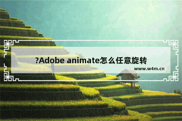 ?Adobe animate怎么任意旋转扭曲形状-An中自由旋转扭曲的方法教程