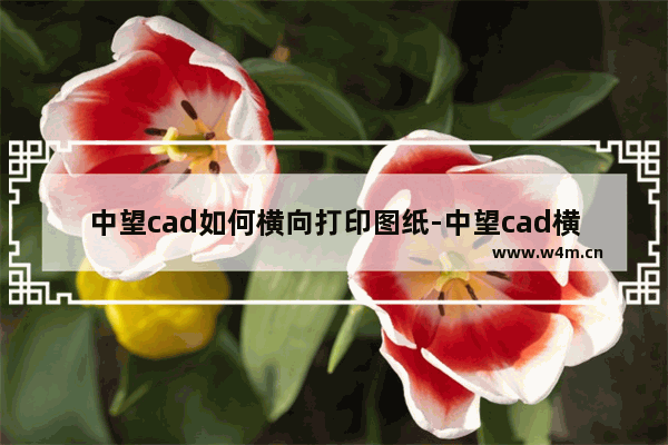 中望cad如何横向打印图纸-中望cad横向打印图纸的方法