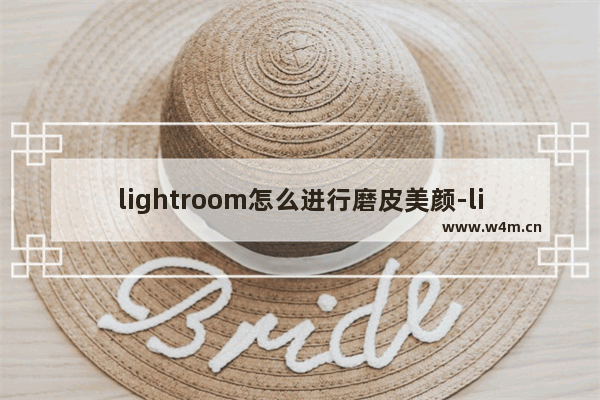 lightroom怎么进行磨皮美颜-lightroom对图像进行磨皮美颜的方法