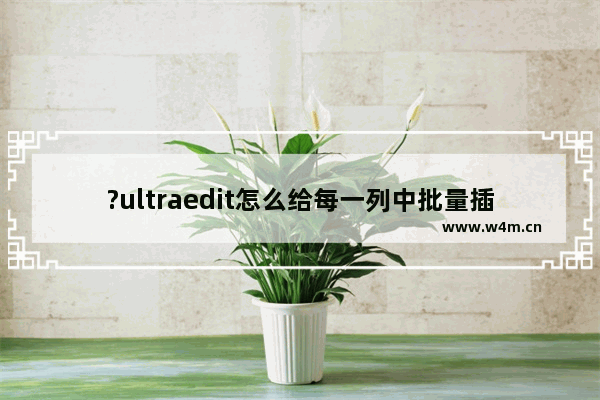 ?ultraedit怎么给每一列中批量插入文字-?ultraedit开启列模式插入填充列的方法