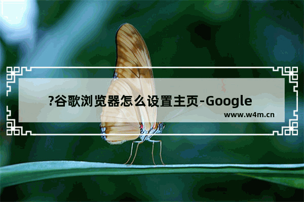 ?谷歌浏览器怎么设置主页-Google Chrome电脑版设置主页网址的方法教程