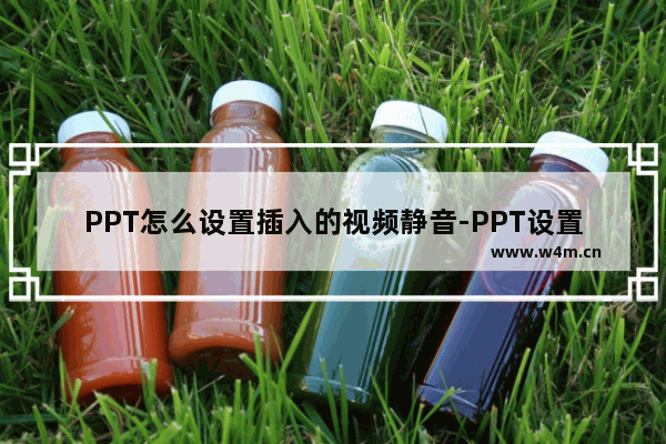 PPT怎么设置插入的视频静音-PPT设置插入的视频静音的方法