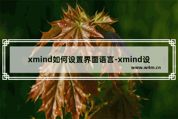 xmind如何设置界面语言-xmind设置界面语言的方法