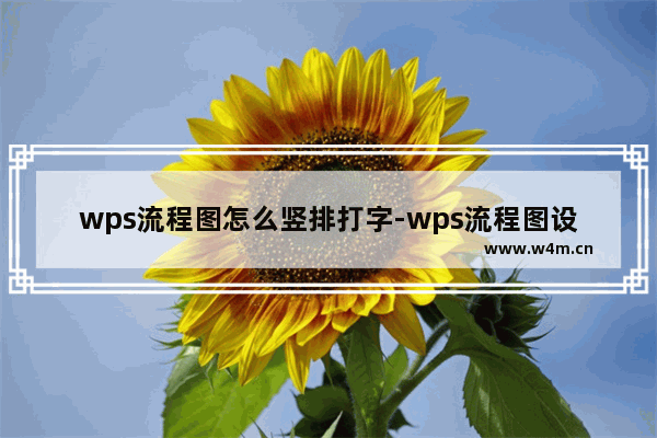 wps流程图怎么竖排打字-wps流程图设置竖排文字的方法