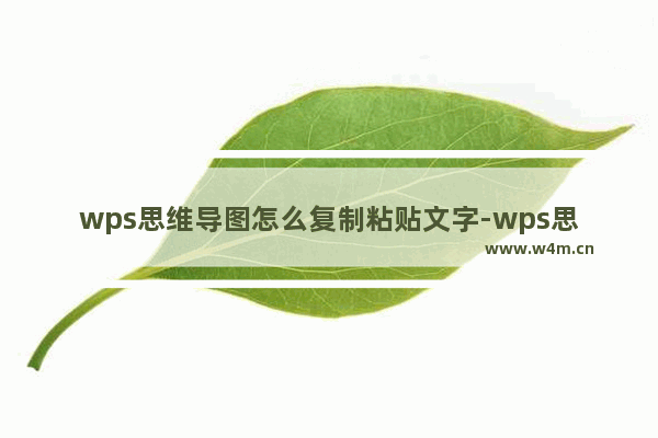 wps思维导图怎么复制粘贴文字-wps思维导图复制粘贴文字的方法