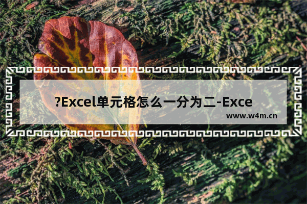 ?Excel单元格怎么一分为二-Excel表格中插入斜杠的方法教程