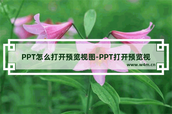 PPT怎么打开预览视图-PPT打开预览视图的方法