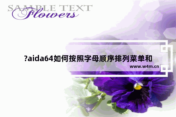 ?aida64如何按照字母顺序排列菜单和子菜单-?aida64以字母顺序排列菜单的方法