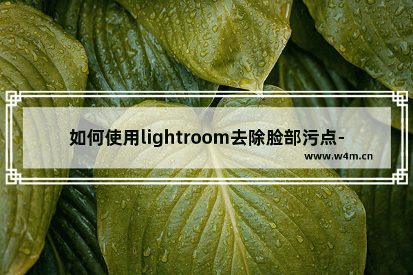 如何使用lightroom去除脸部污点-lightroom去除脸部污点的方法