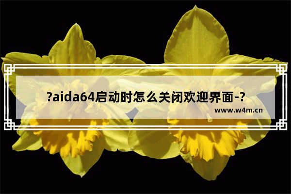 ?aida64启动时怎么关闭欢迎界面-?aida64启动时关闭欢迎画面直接进入主页的方法