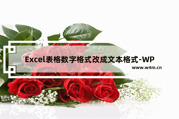 Excel表格数字格式改成文本格式-WPS Excel表格数字转换成文本格式的方法