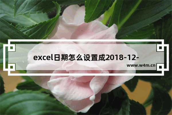 excel日期怎么设置成2018-12-31-WPS excel日期设置成2018-12-31的方法