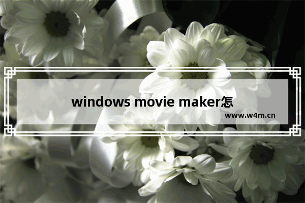 windows movie maker怎么打马赛克-windows movie maker添加马赛克的方法