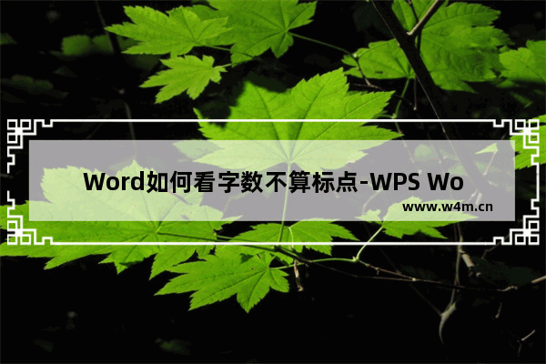 Word如何看字数不算标点-WPS Word只统计字数不统计标点符号的方法