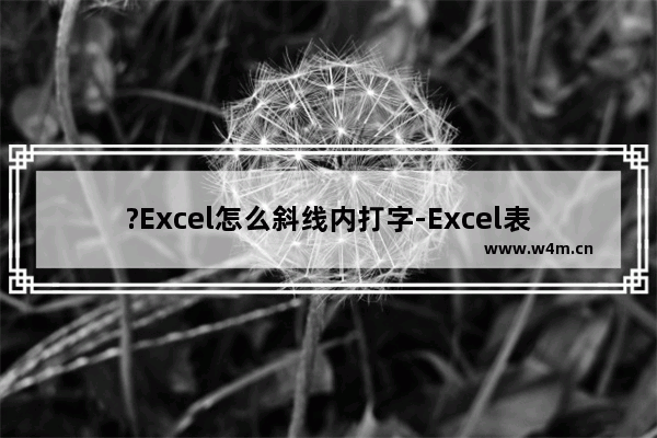 ?Excel怎么斜线内打字-Excel表格在斜线内打字的方法教程