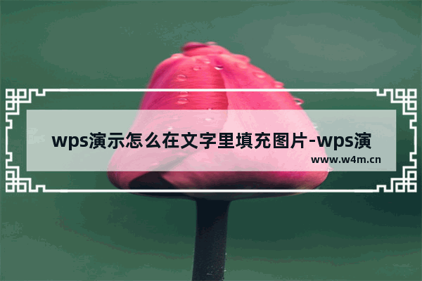 wps演示怎么在文字里填充图片-wps演示把图片与文字融合的方法