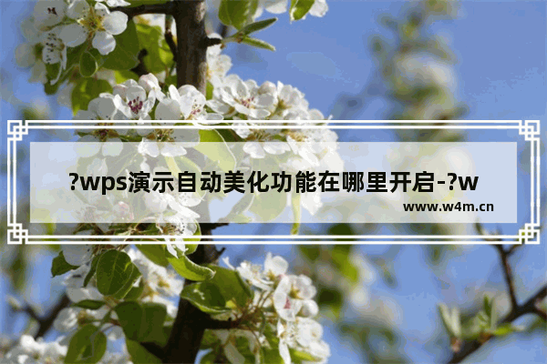 ?wps演示自动美化功能在哪里开启-?wps演示一键美化单页幻灯片的方法