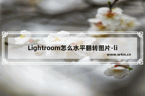 Lightroom怎么水平翻转图片-lightroom设置照片水平翻转的方法