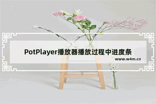 PotPlayer播放器播放过程中进度条等工具不见了怎么办-potplayer播放页面中进度条等工具不见的解决方法