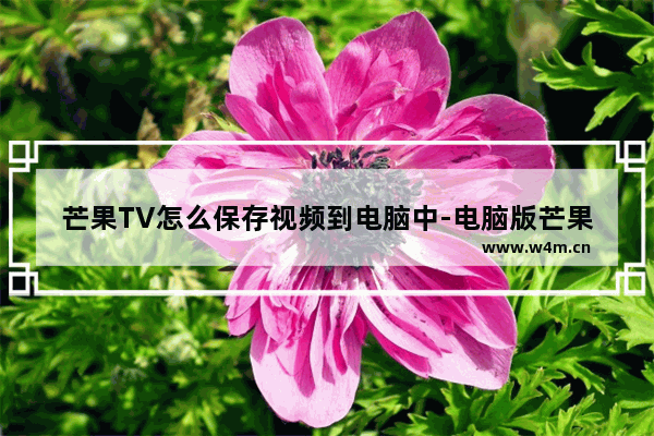 芒果TV怎么保存视频到电脑中-电脑版芒果TV下载视频到电脑中的方法