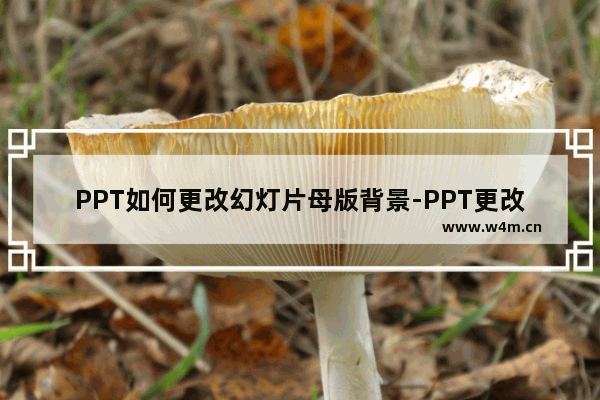 PPT如何更改幻灯片母版背景-PPT更改幻灯片母版背景的方法