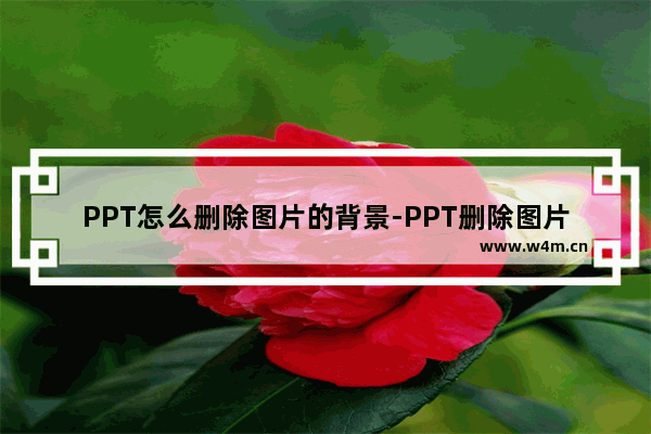 PPT怎么删除图片的背景-PPT删除图片的背景的方法