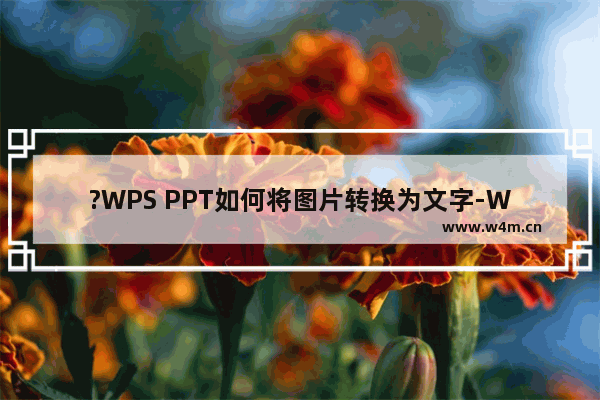 ?WPS PPT如何将图片转换为文字-WPS演示文稿电脑版图片转文字的方法教程