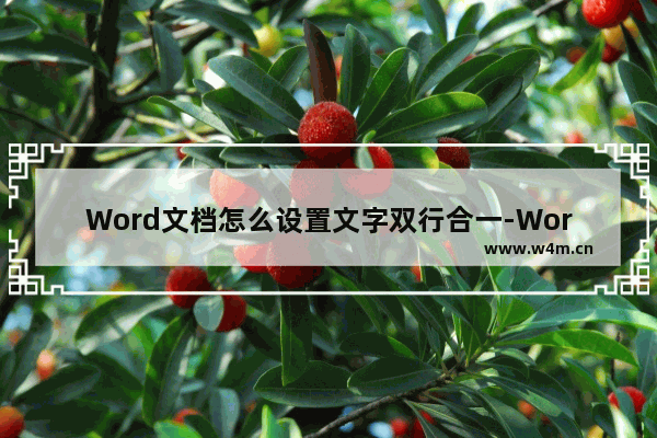 Word文档怎么设置文字双行合一-Word文档设置文字双行合一的方法