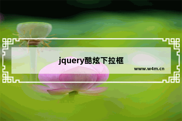 jquery酷炫下拉框