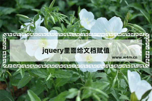 jquery里面给文档赋值