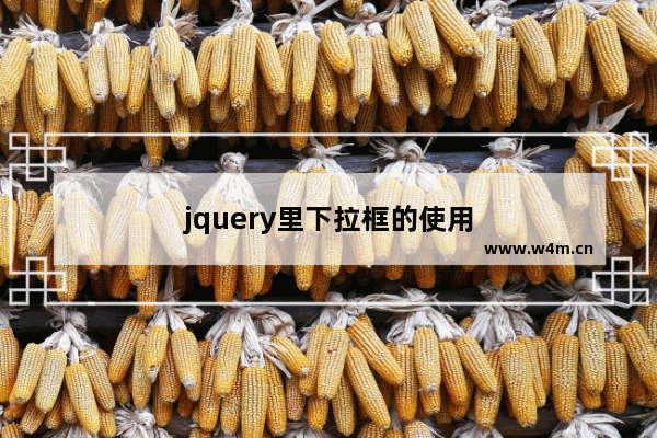 jquery里下拉框的使用