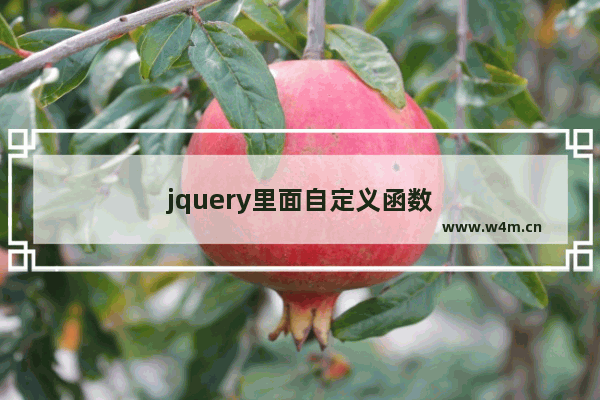 jquery里面自定义函数