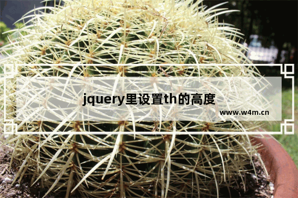 jquery里设置th的高度