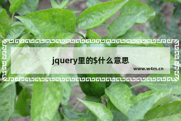 jquery里的$什么意思